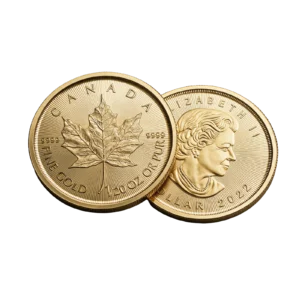 Maple Leaf 1/20 oz &mdash; avers i revers